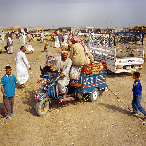 Bedouin in Mayadeen