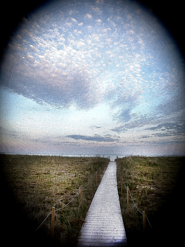 Path to the Sea