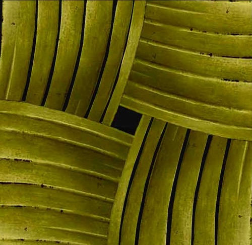 Banana leaf Design