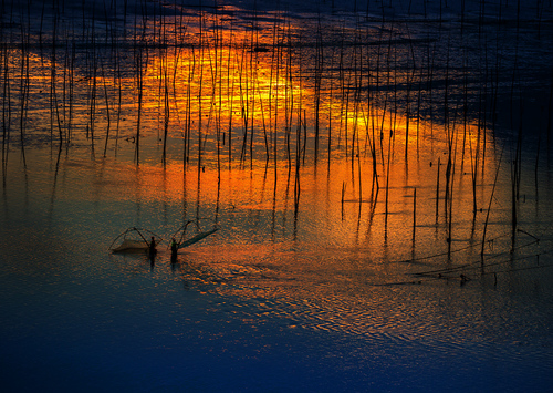 Net-fishing at Sunrise