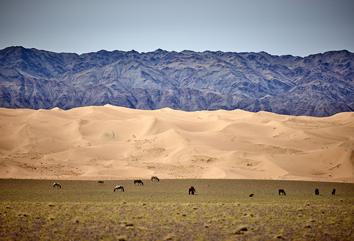 Gobi Desert (1)