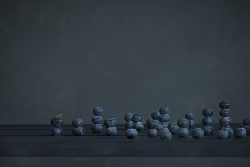 Blueberry Army