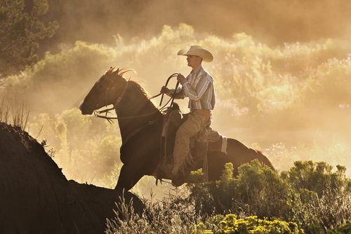 Cowboy At Sunset