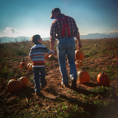 Dreams of our Childhoods: Pumpkin Patch