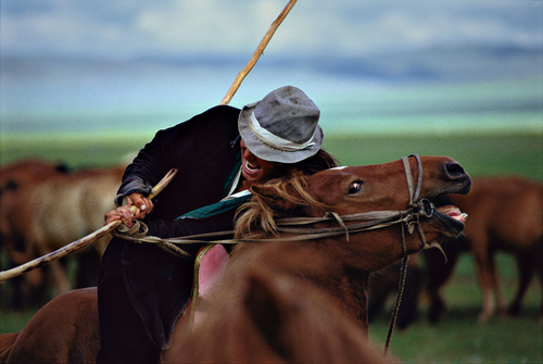 Mongol Arat with his Catch Pole, Central Mongolia