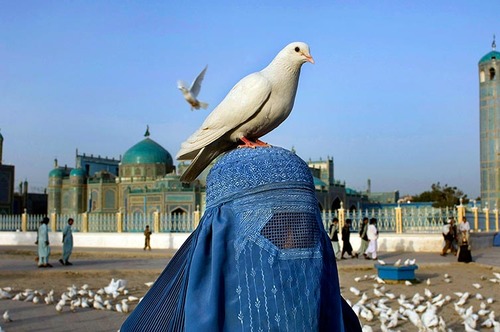Afghan Woman with bird