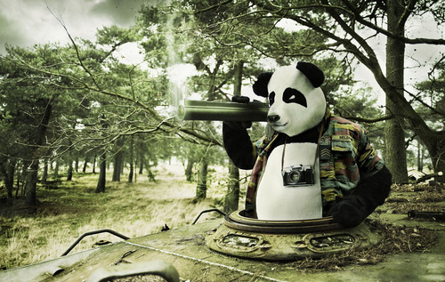 Operation Panda