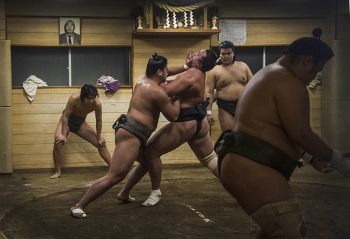 Dying Sport of Sumo