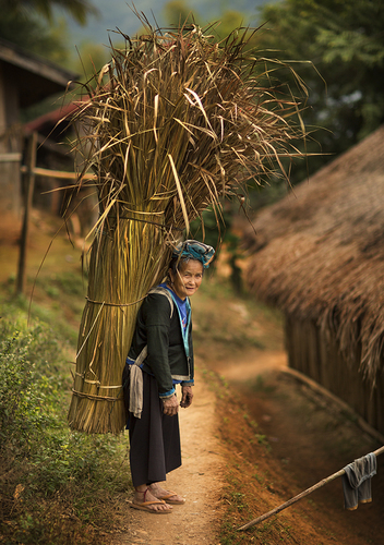 Hmong Lady Northern Laos