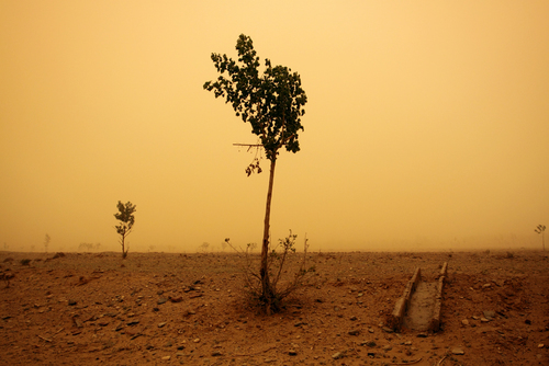 Yellow Skies - Desertification in China