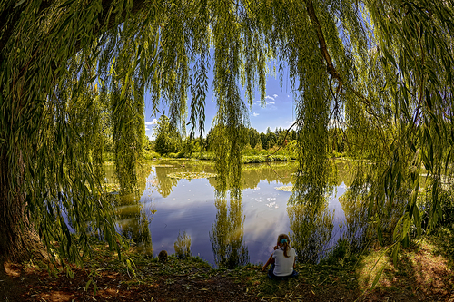 Little Girl under Willow Tree