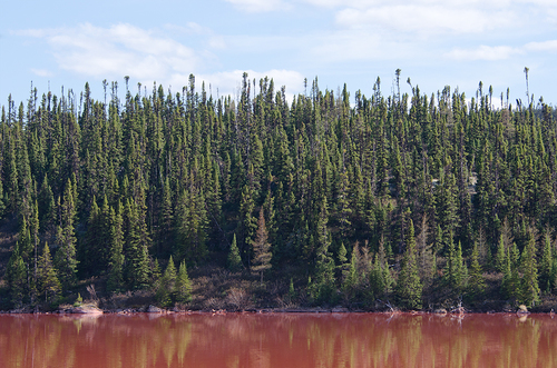 Polluted Lake, Near Labrador City