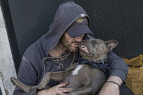 Homeless Man and Dog