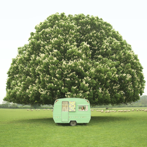 Green Caravan Under Horse Chestnut Tree