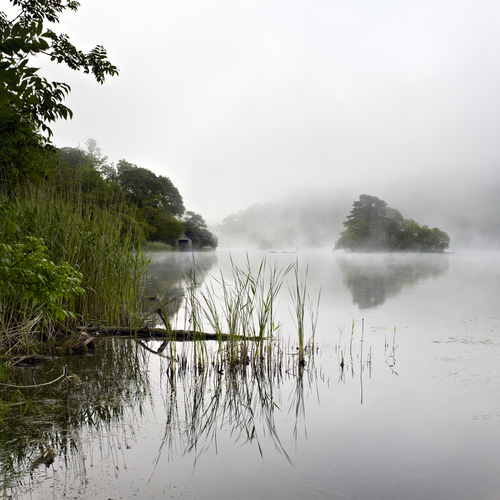 Spring Mist - Rydal Water - England