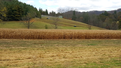 Corn Field Fall Harvest
