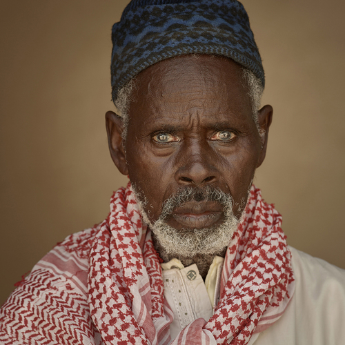 African Portrait I