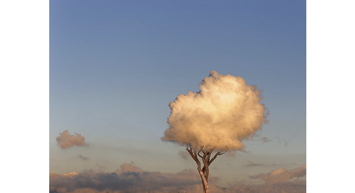 International Color Awards photography competition