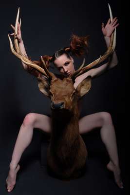 The Elk, 1 The Elk, 1