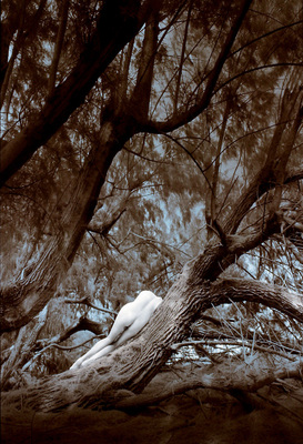 Tree (2) Tree (2)