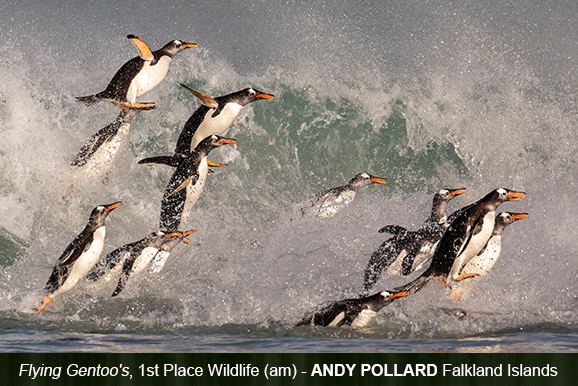 Andy Pollard, Falkland Islands
