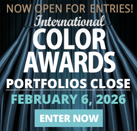 create an online Portfolio, upload images and pay entry fees