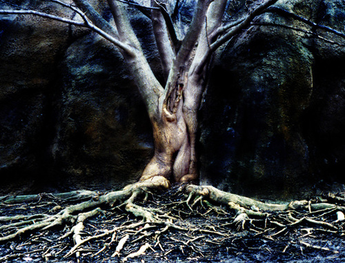 Agnostic Tree
