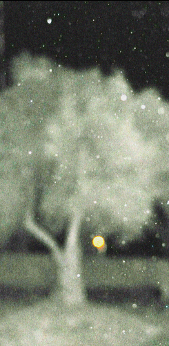 Grainy night