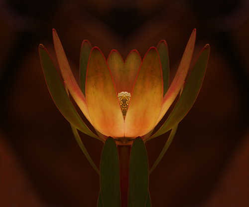 Ablaze
