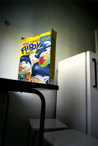 Flippy