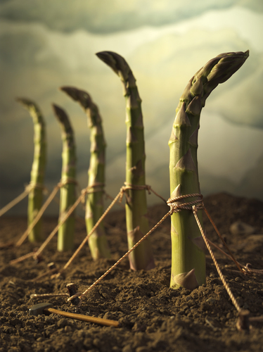 Jurassic Produce 2