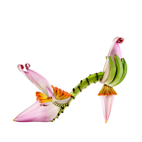 Shoe Fleur: Chiquita