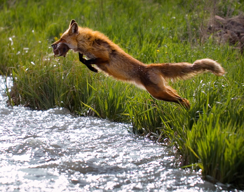 Leap Of Faith