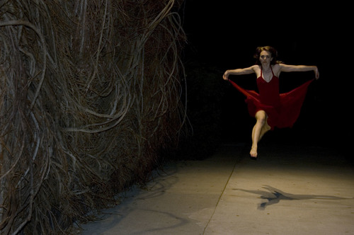 Fly in Red