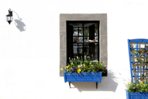 The Window