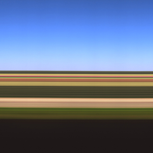 Field, Holland