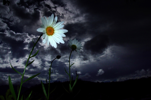 After the storm