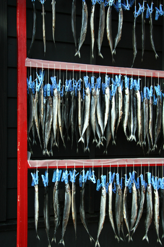 Herring Rack