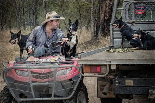 Hamish and his Working Dogs