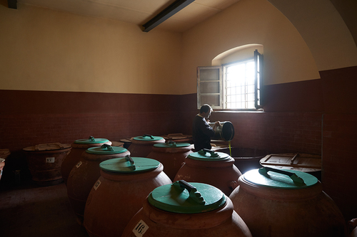 Olive Oil Storage