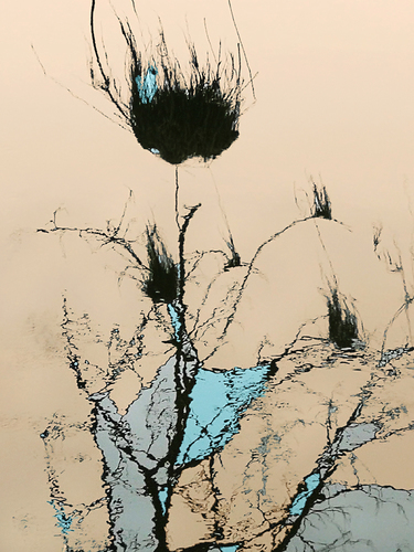 Reflection