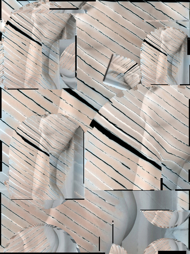 Human