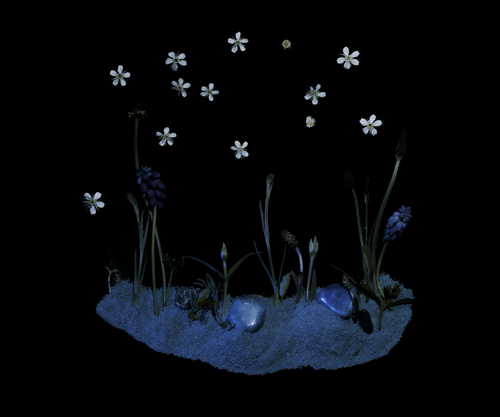 Minutes - Point Out the Stars