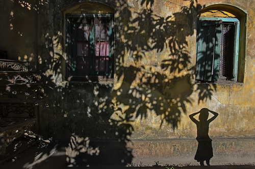 Shadows Of Life 