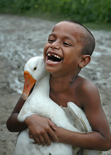Love Laugh 