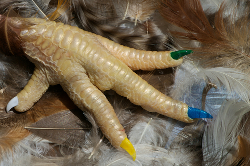 Lady Chicken