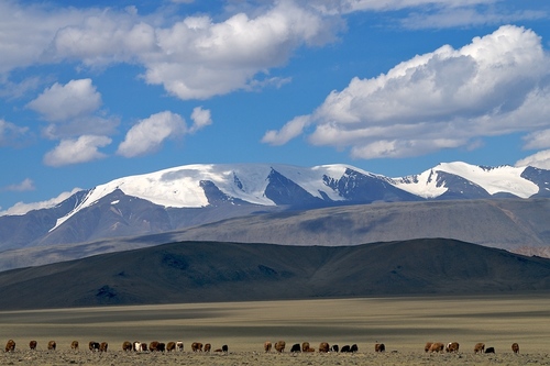 Landscape in Mongolia