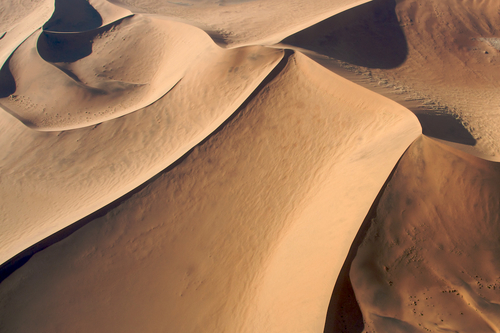 Dunes in the Namib Desert