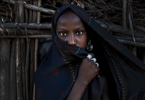 Arbore (2)