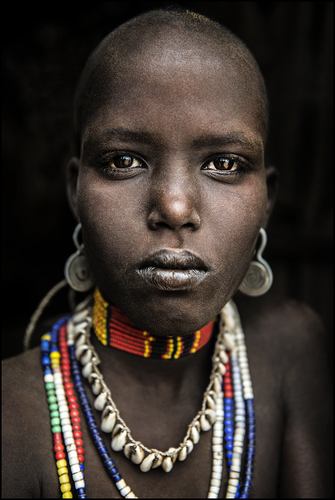 Arbore